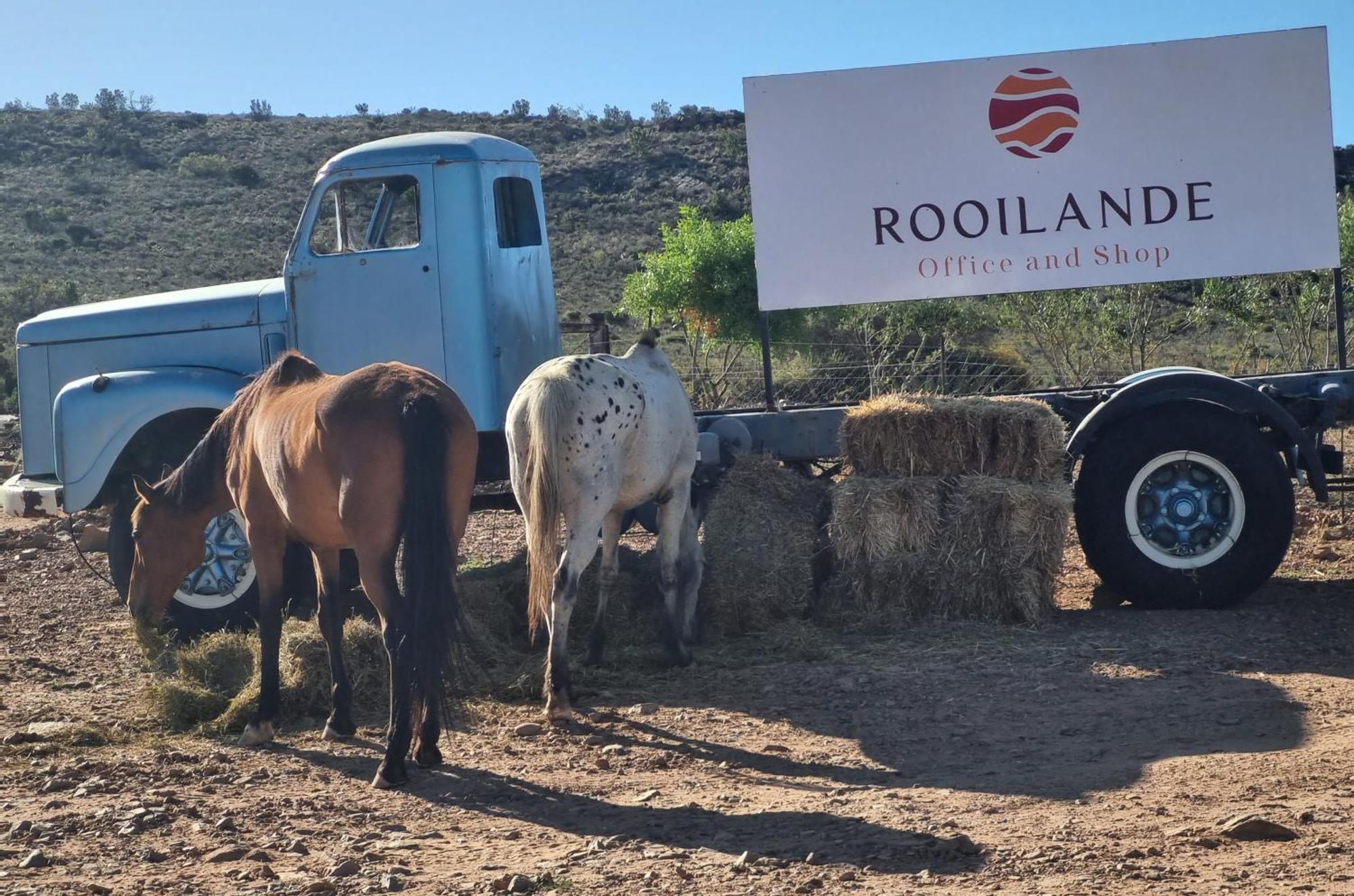 Rooilande Guest Farm Lägenhet Laingsburg Exteriör bild